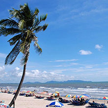 Лучшие пляжи Вьетнама: фото и описание